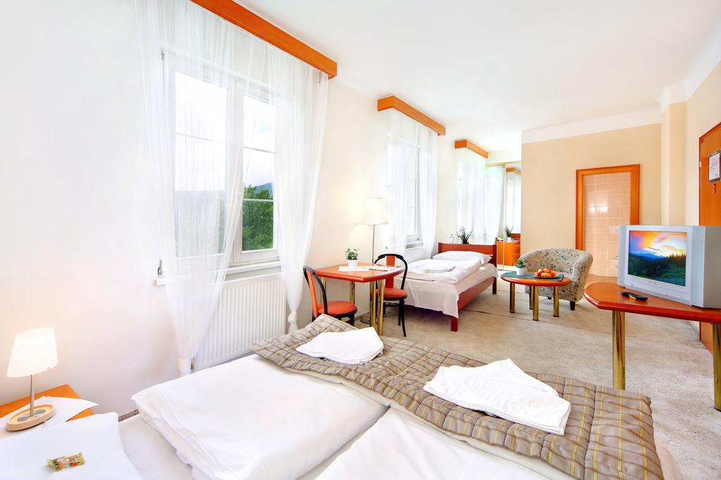 Palace Club Špindlerŭv Mlýn Oda fotoğraf