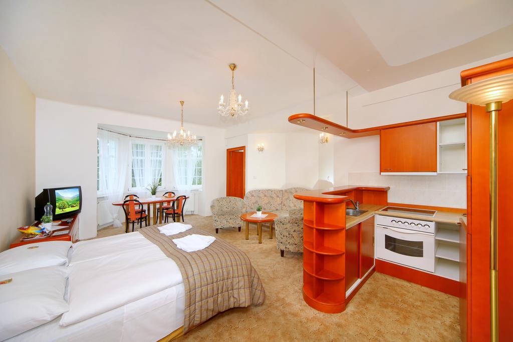 Palace Club Špindlerŭv Mlýn Oda fotoğraf